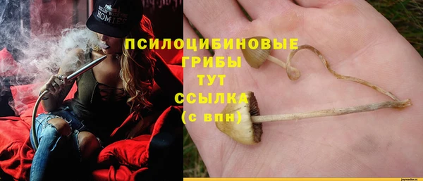 соль ск Алексеевка