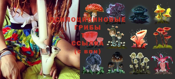 не бодяженный Абаза