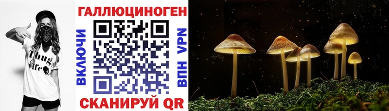 Псилоцибиновые грибы ЛСД  Котельнич 