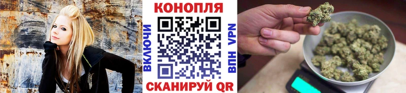 хочу наркоту  Котельнич  Каннабис сатива 